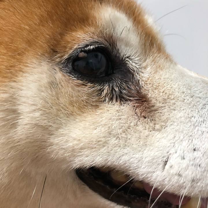 5c32f384 907e 4d77 995e 87a0214b235d 1567724101333