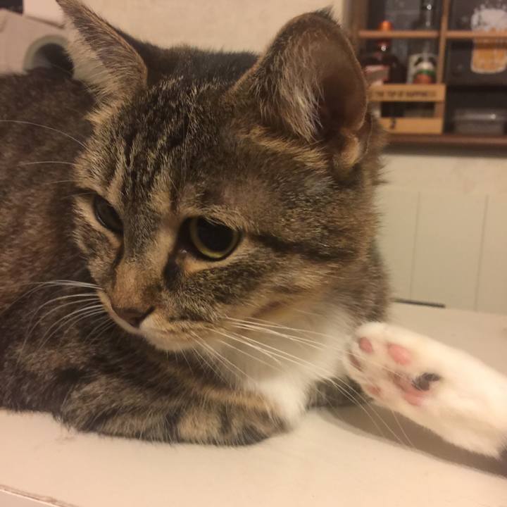 5c3349b8 3323 41f9 aff4 a9e33d2dc4ce 1570095968225