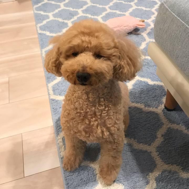 5c334aa0 a7e8 4f1e a709 55d706c427b2 1557834577524