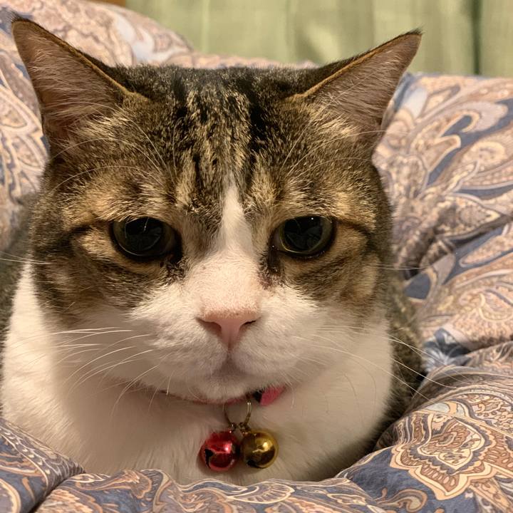 5c3353c0 3f42 4a77 9002 0256ebe09a98 1685441058357