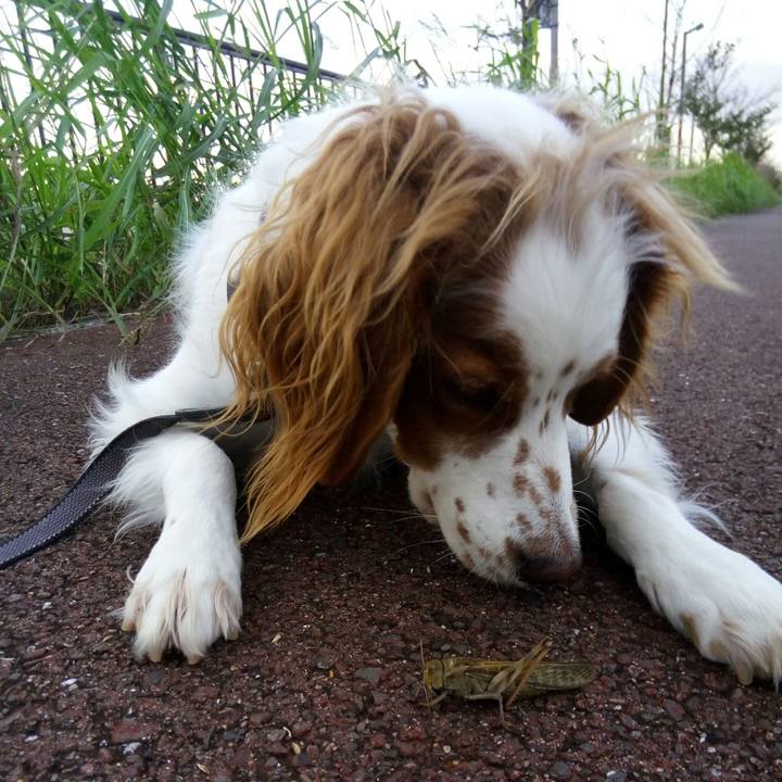 5c33c241 b7ea 4010 a85c 0bee486d59f1 1509438150417