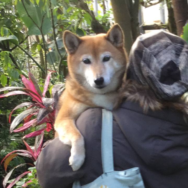 5c33c2b4 d637 4c00 b726 9059ea1e41f3 1577427660179