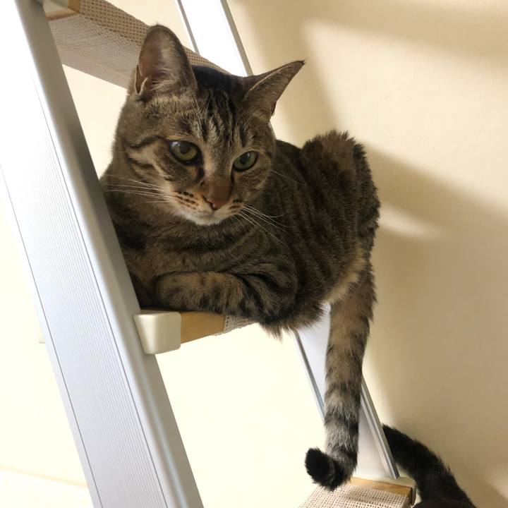 5c33c2f3 5cbc 47f0 b0a5 07086db327bd 1626417365423