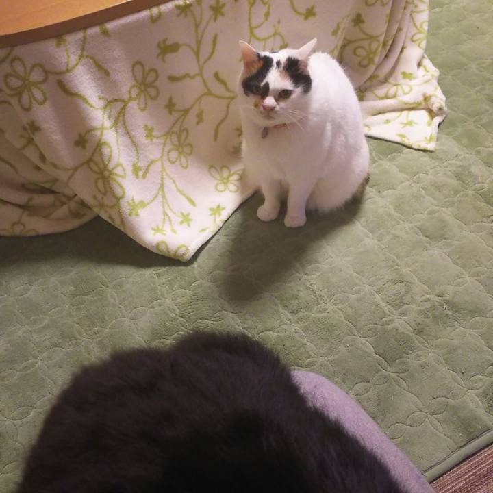 5c33c758 0988 42f6 8908 5b913ead974a 1508061497585