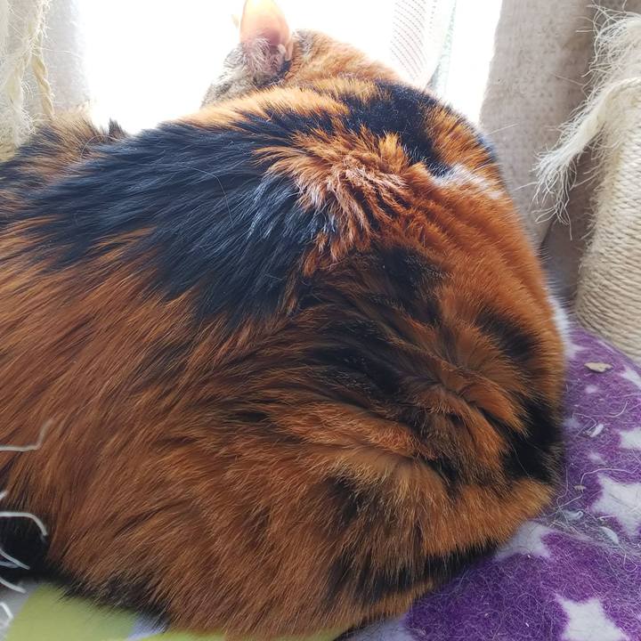 5c33d2b8 339e 4ba6 84ed 5a1e5d7ddfaa 1546736916410