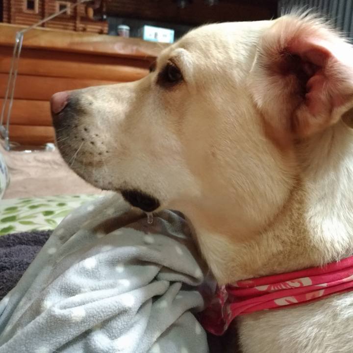 5c33ded6 3d00 4673 83a0 338b479064fe 1551190462313