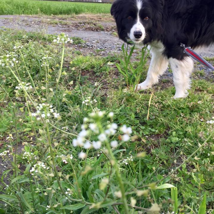 5c33dfb9 b125 4d40 a756 330a97ed25a0 1583189029062