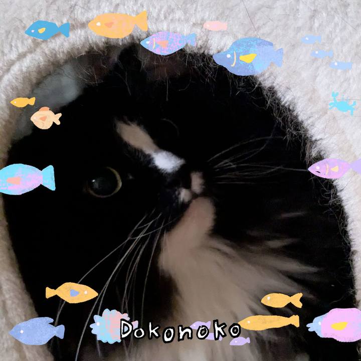 5c34024a 6a67 4908 ad70 11a1c6131f40 1755486763598