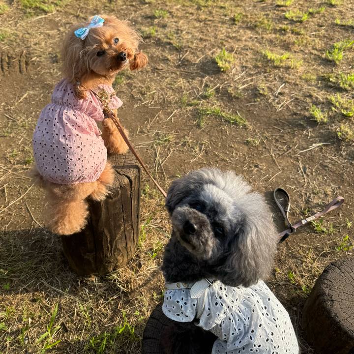 5c343a57 fc36 4d6f bc37 46ab508d69ea 1751154337181