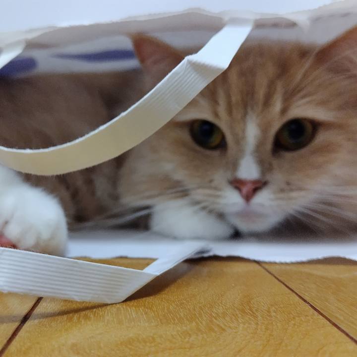 5c343df9 e78f 4e70 96d7 ef943ef10bcf 1715354784888