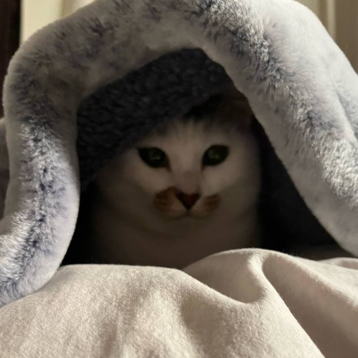 5c34429a fdc7 480d 9352 2023180ad218 1675988936184