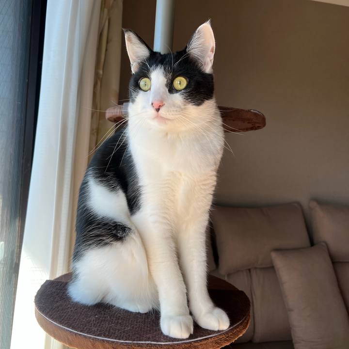 5c34ba63 85b0 4de4 8af8 eda253bd3d51 1676078382316