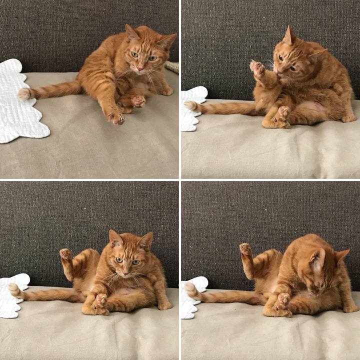 5c34bf10 4abf 4f59 8a7a 3eac182820dc 1527663826812