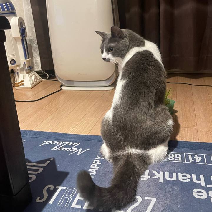 5c3526d6 71b0 43b6 be4c 04f3c454512e 1697535411856