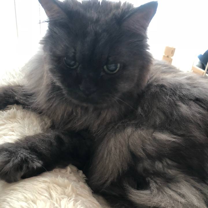 5c3543c7 aa24 4beb 8326 2dd427efcf8e 1539121856372