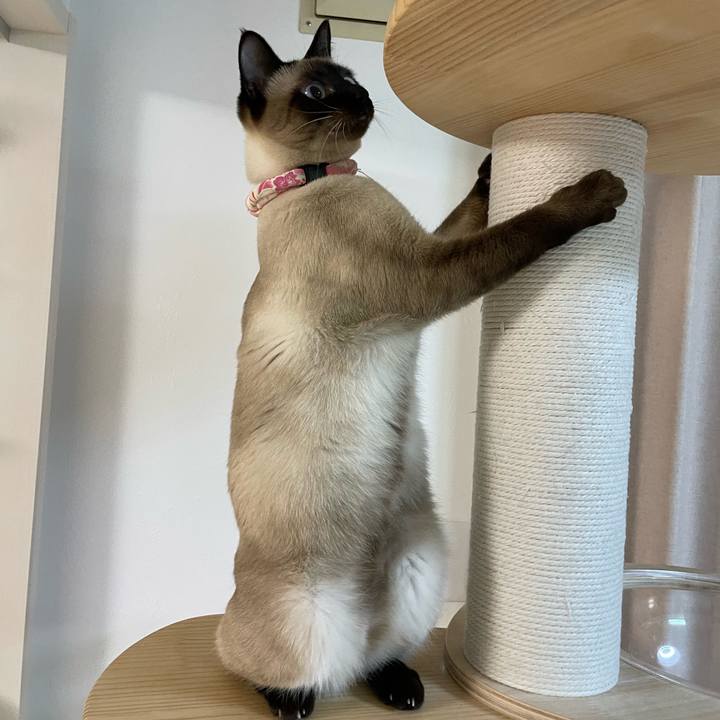 5c35760c f195 40a3 bedb c9d0abda46c0 1715370058894