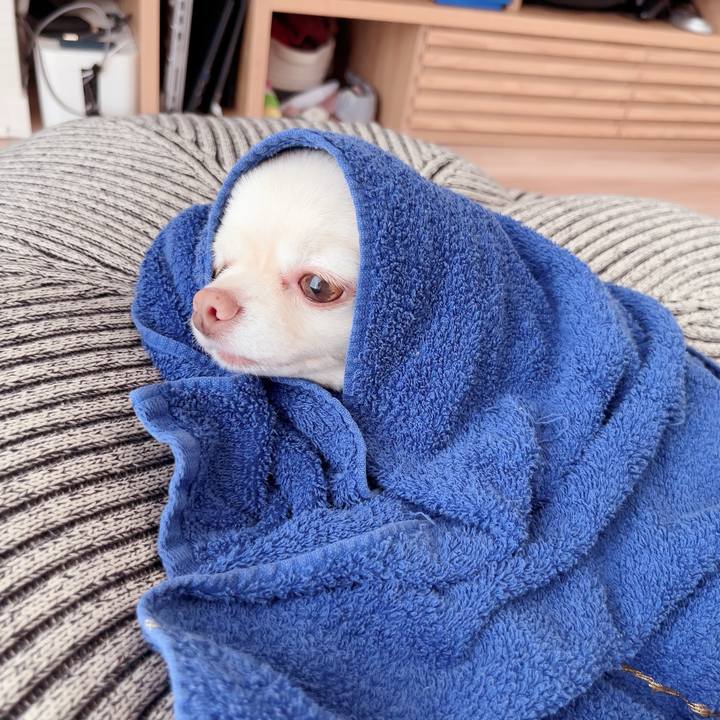 5c359dd0 f244 4345 a281 c220e2cfd419 1716548189667