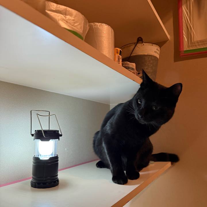 5c35a66f db72 4796 8019 5c5536b1e2c0 1771066398285