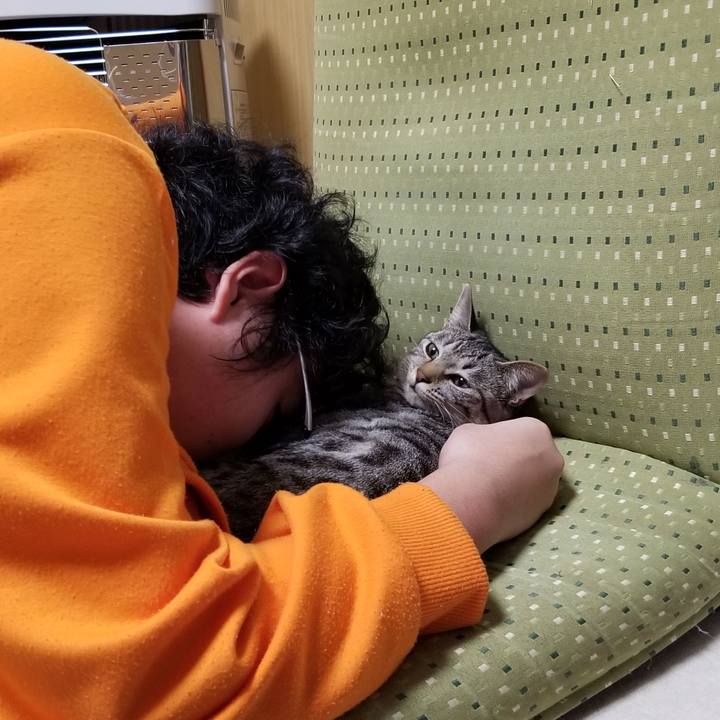 5c35be80 d778 4062 86fd 721ecae904d4 1672388044229