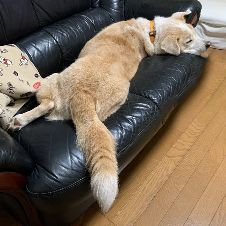 5c35e287 447a 457b 8f5d a5871c0b63a1 1635779868821