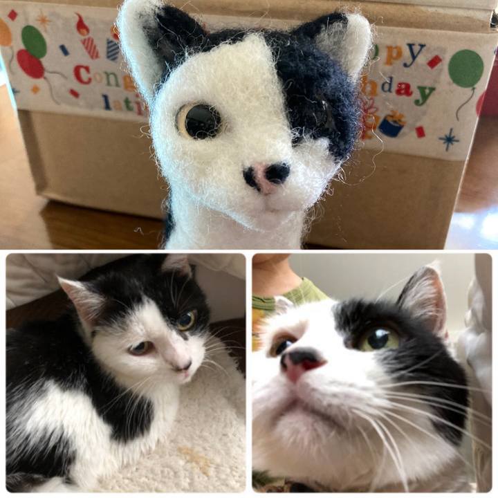 5c360a9e 26e8 4fa9 aa65 f036f0ad263d 1663310852448