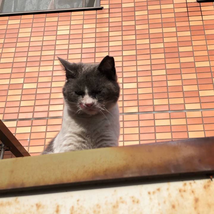 5c3626a6 b19e 4f2b b8dd f18235080b6d 1617082439898