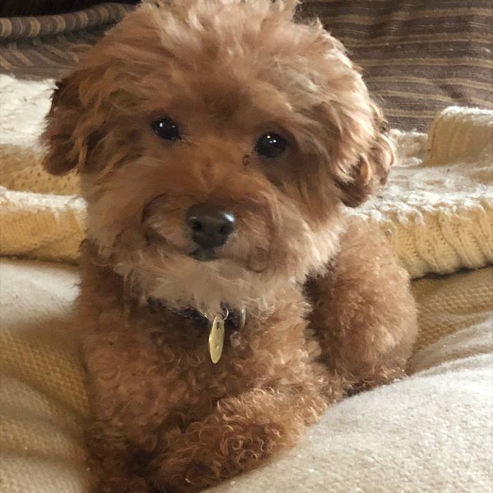 5c362c1c fe99 4917 8d59 09e462d96886 1581165394938