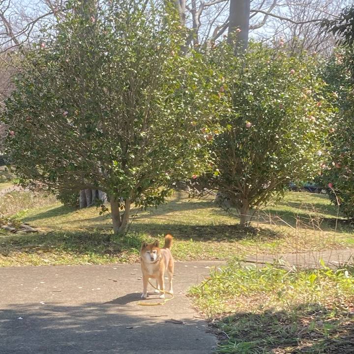 5c363b70 752a 4f25 b78e b0d2f1a372d1 1648108115249