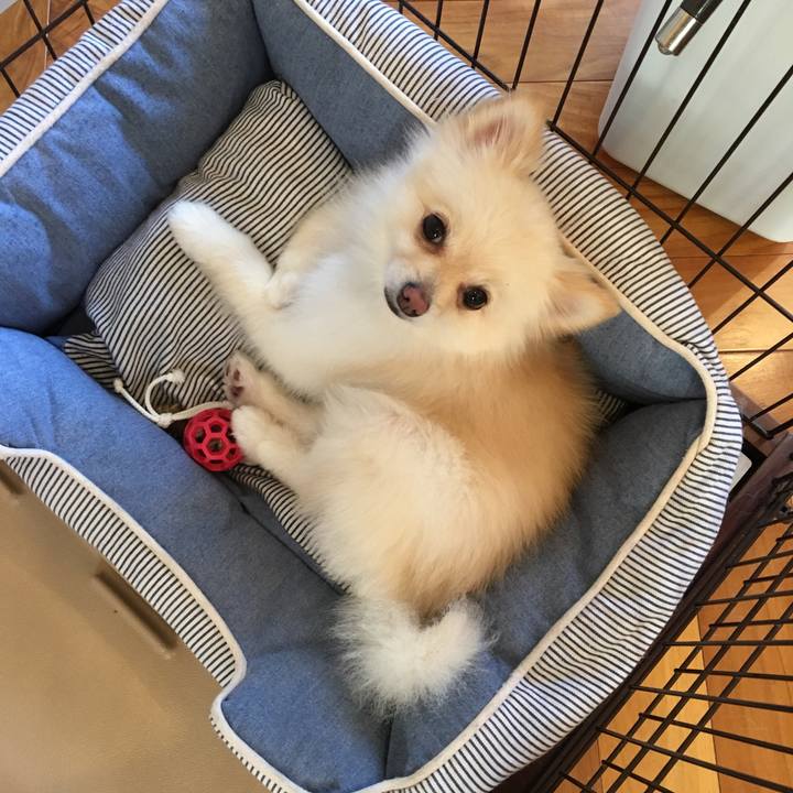 5c364bcd fdb0 4305 a95a 84737e461703 1565573763741