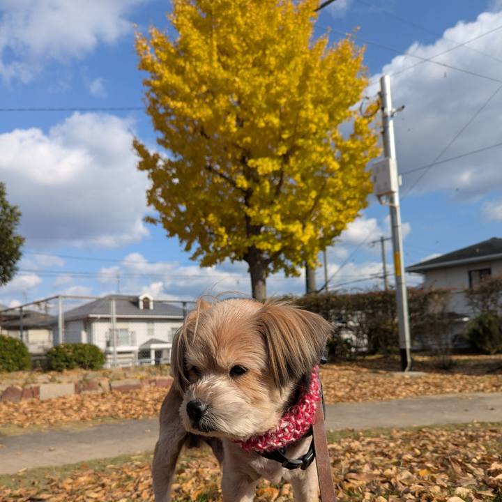 5c36b97b 1ad3 4bb0 864a 358df5f893b2 1733553082093