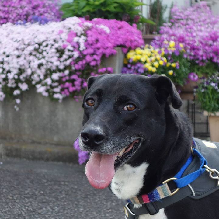 5c36e7af 1c71 4435 aea6 a28d7a8928b3 1649637165103