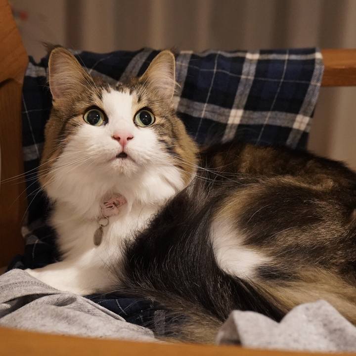 5c36fb92 6612 44ed be5a 20da8c787a9c 1601644363498