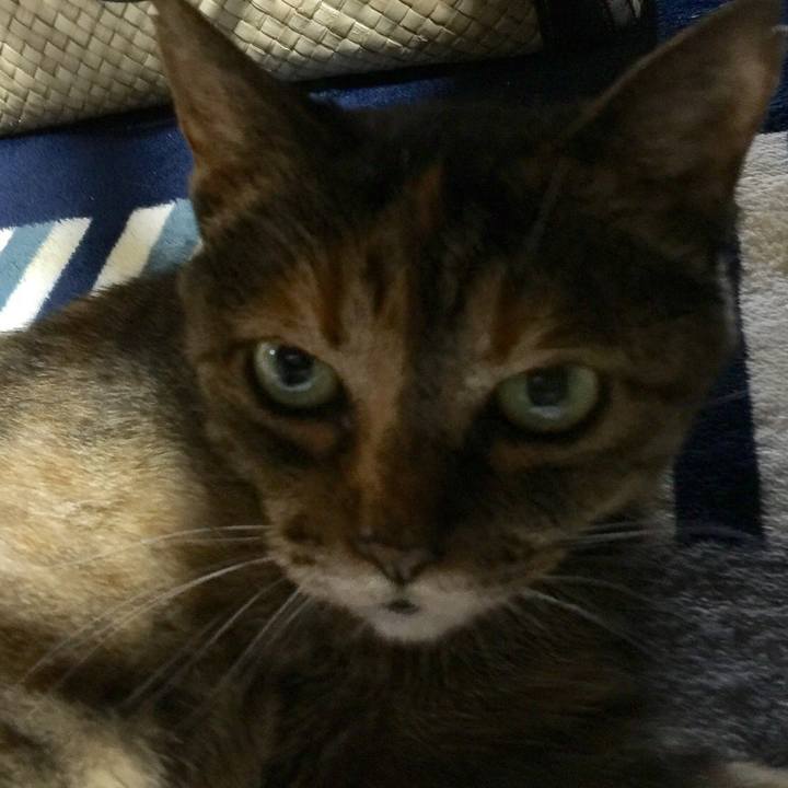 5c372ed3 c0d0 4ffc a216 fb5e2a490561 1549778317809