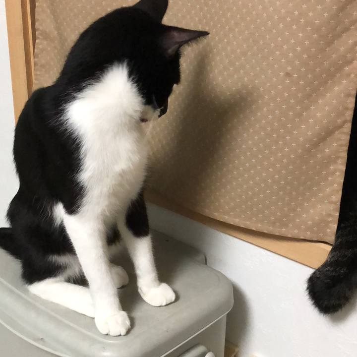 5c37318c 233b 4cd4 9e26 13b94a77dcc9 1534795512386