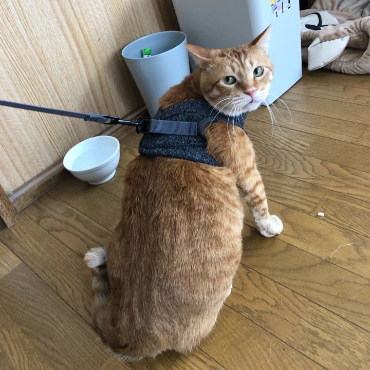 5c375643 6122 41b7 b831 15b415fb7aae 1583548664643