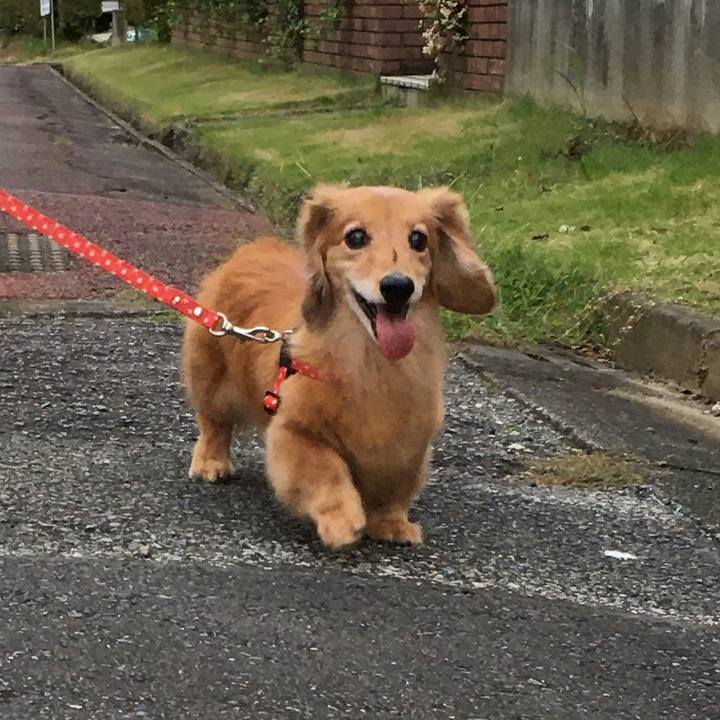 5c37afc2 b22f 43e2 a82a 055741fabed5 1631365945000