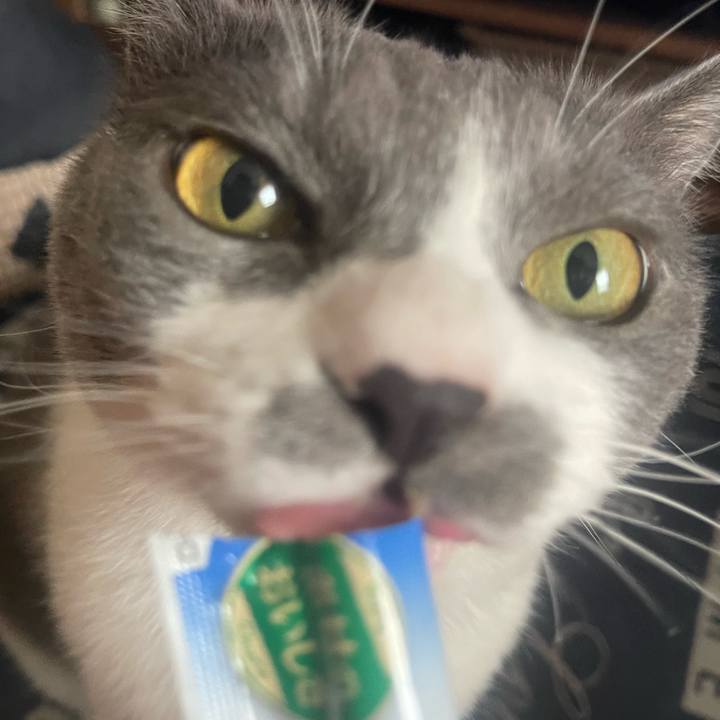 5c3832c3 1ef6 455e aee5 1a0b0d5c9a76 1718694872120