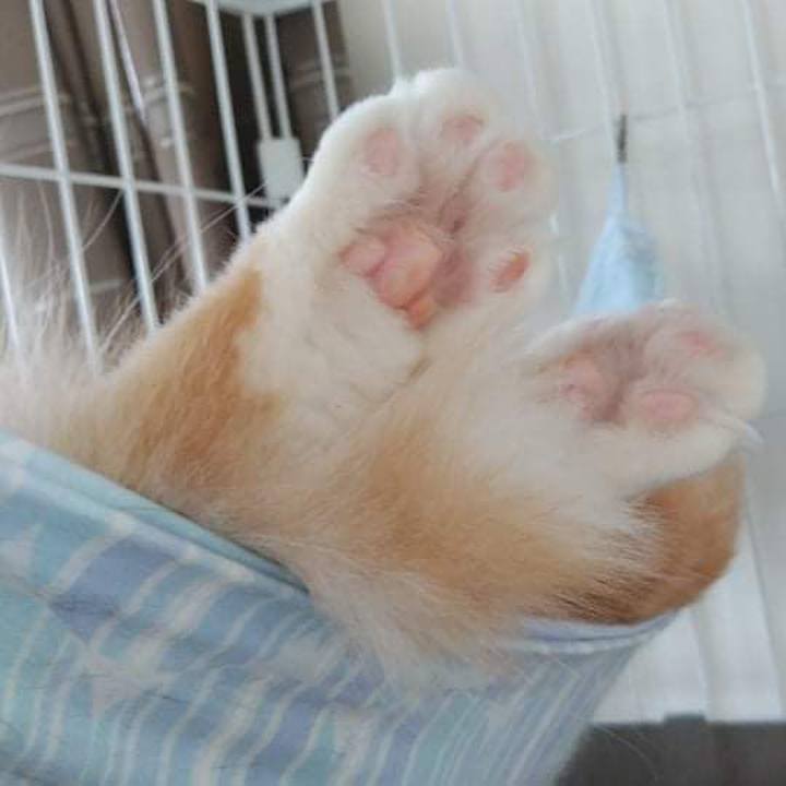 5c3864cf 7073 47e9 a62b d251c0944a15 1626922633855