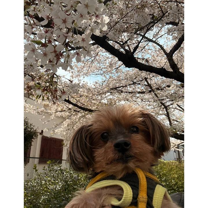 5c389a22 3347 435b 95bd 2f9256a2b4bd 1743895575305