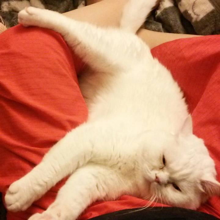 5c38a030 8266 40f5 a3e0 74f9cbd3a733 1524315864259