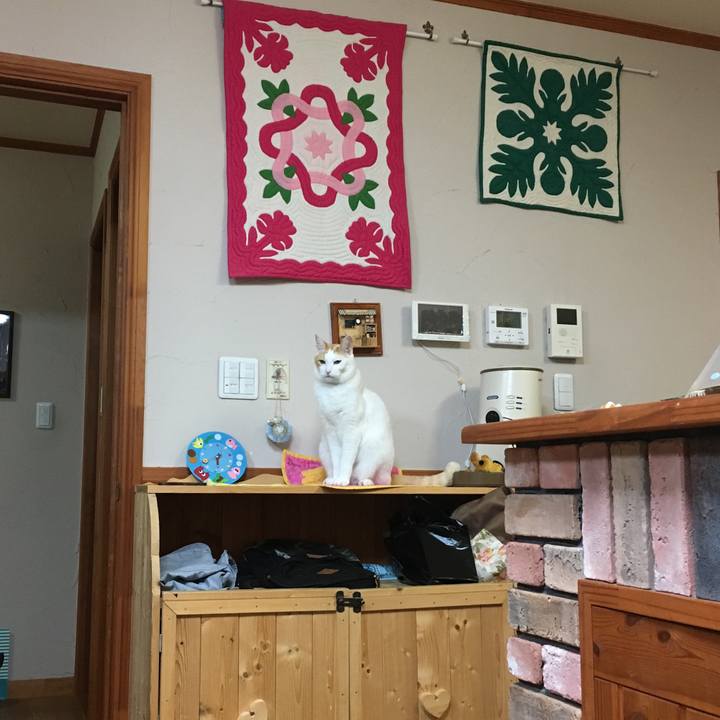 5c38a43d b929 46d6 bac1 069b09f9e001 1509528945230