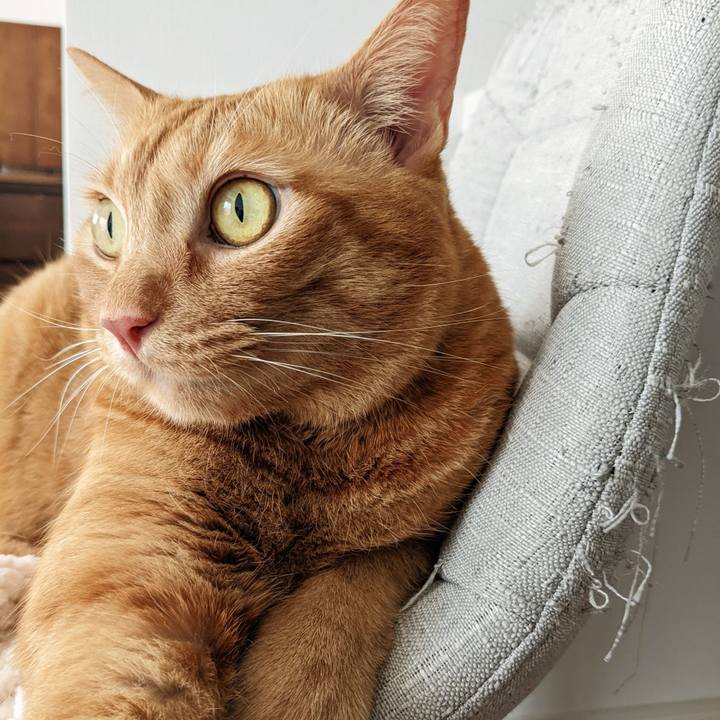 5c38b7a8 3113 4aea b38f d6d66bf22ef8 1658372732388