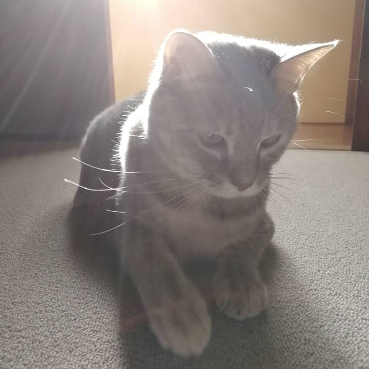 5c38b962 c33a 4373 8236 c7e7dc2339e5 1522485041385