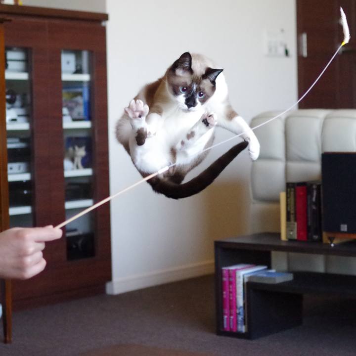 5c38bc83 9f1d 40f7 adac 51fb8bba6ddc 1531793388261