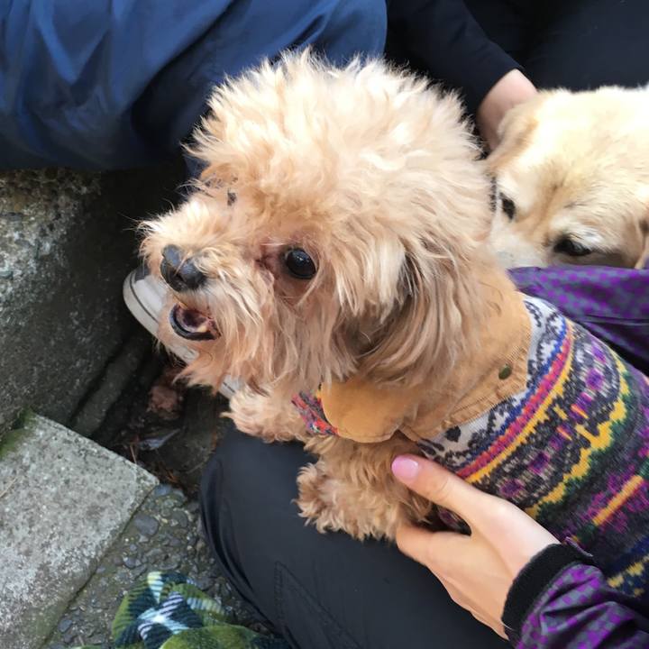 5c3906b6 60ce 4cc4 a784 90e2aafc7b12 1517963678850