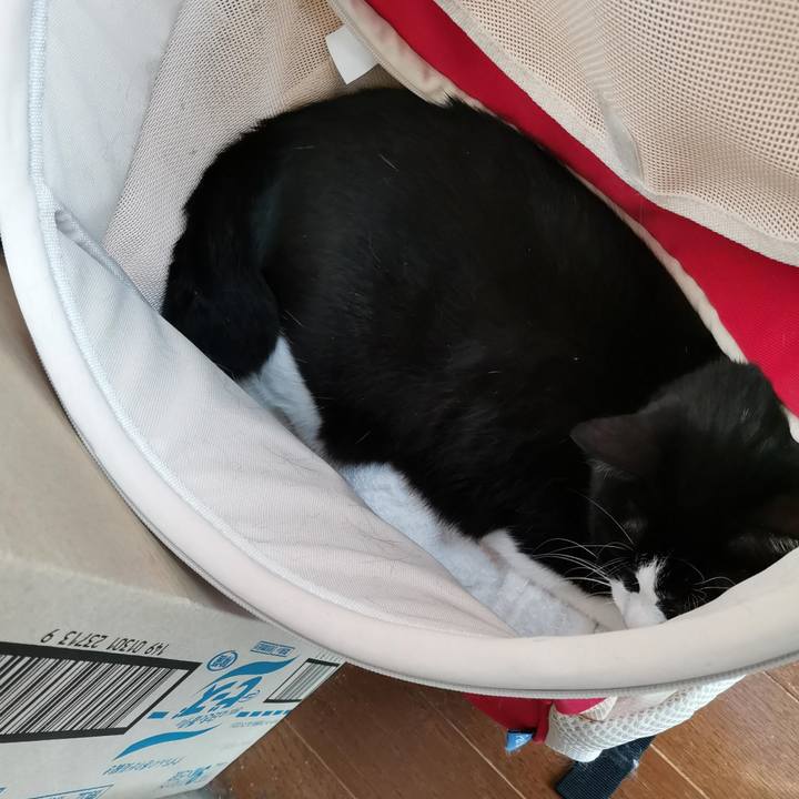 5c390ecc 1a12 4780 87b6 7d9e3119f5b8 1694747817752