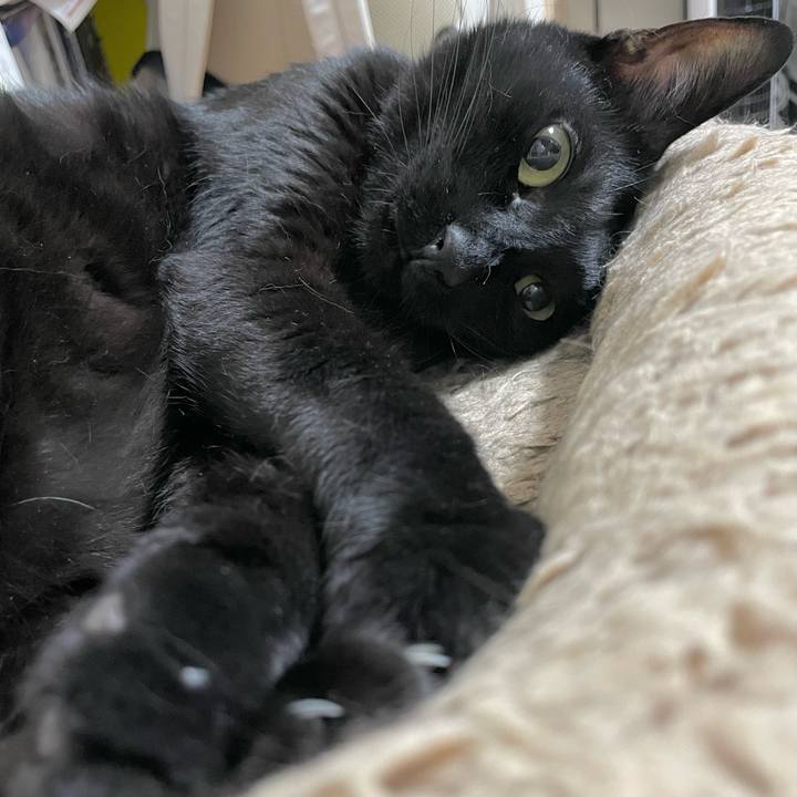 5c392bfa 12d1 4765 8eff 1364d33a6fde 1658925415267