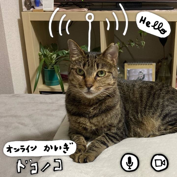 5c39373d 5ffc 4683 b0d9 da85cc88dbe7 1590739809778