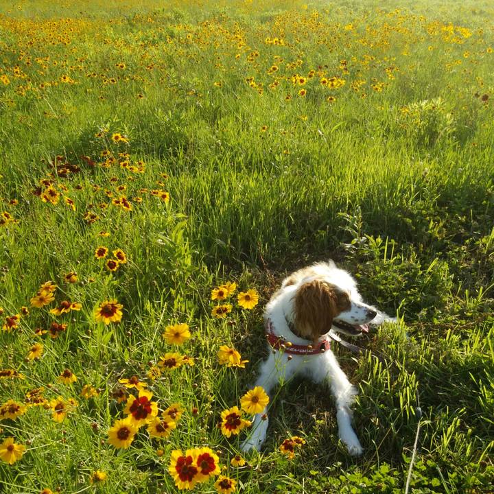 5c394ffc 3af0 432e a467 8f44139e0297 1530452776083