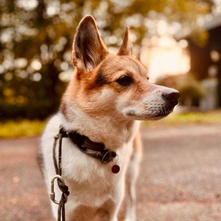 5c398c27 5fdc 41f1 ab65 de6fe4eeebda 1759747052216